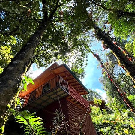 Cabana Anturios San José Esterno foto