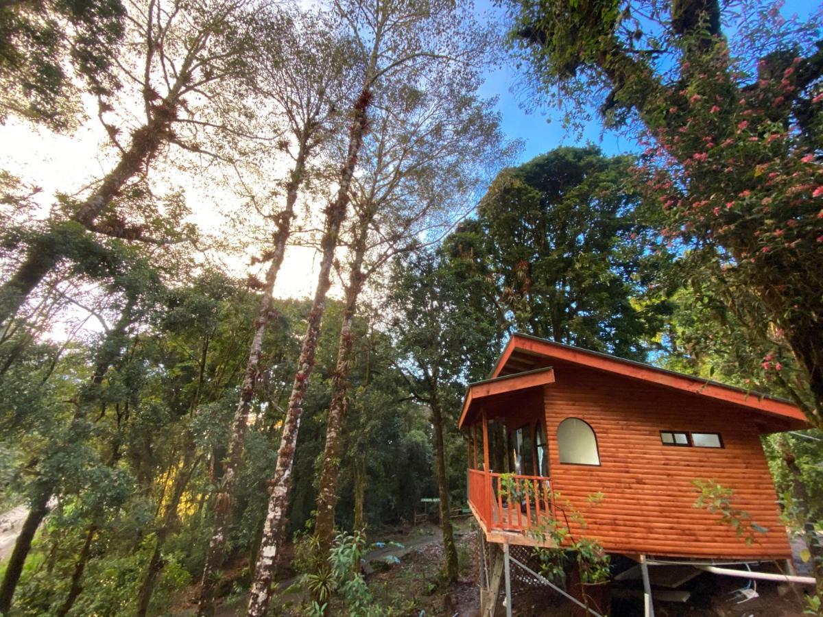 Cabana Anturios San José Esterno foto
