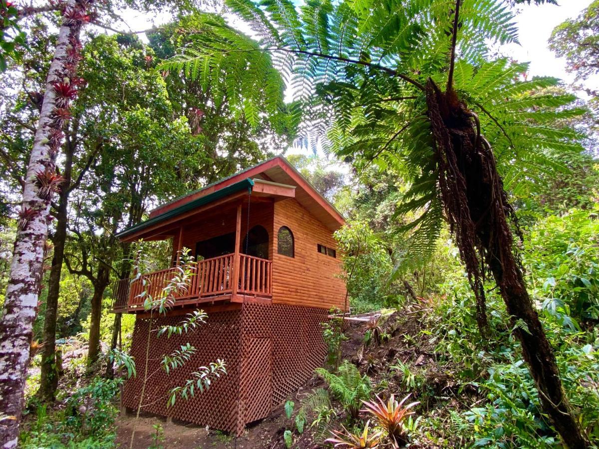 Cabana Anturios San José Esterno foto