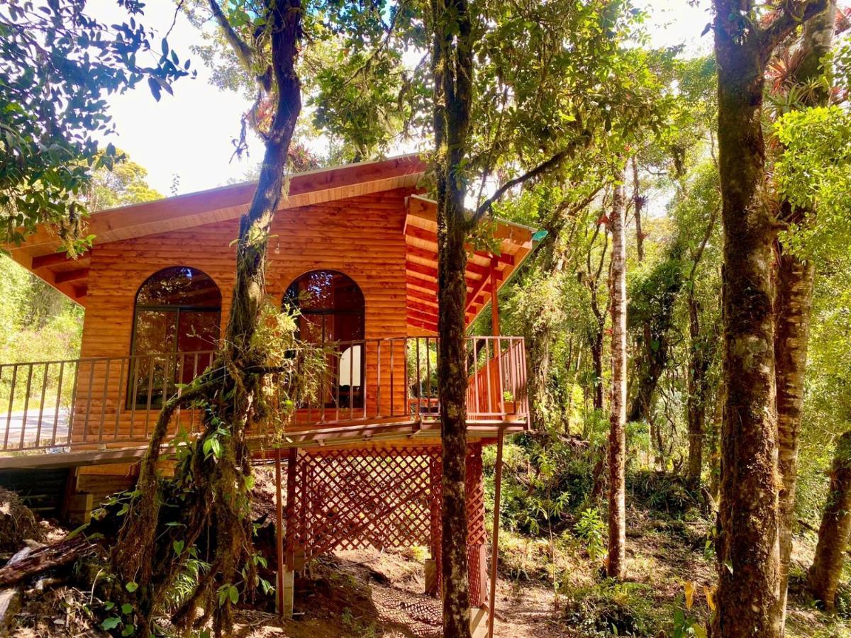 Cabana Anturios San José Esterno foto