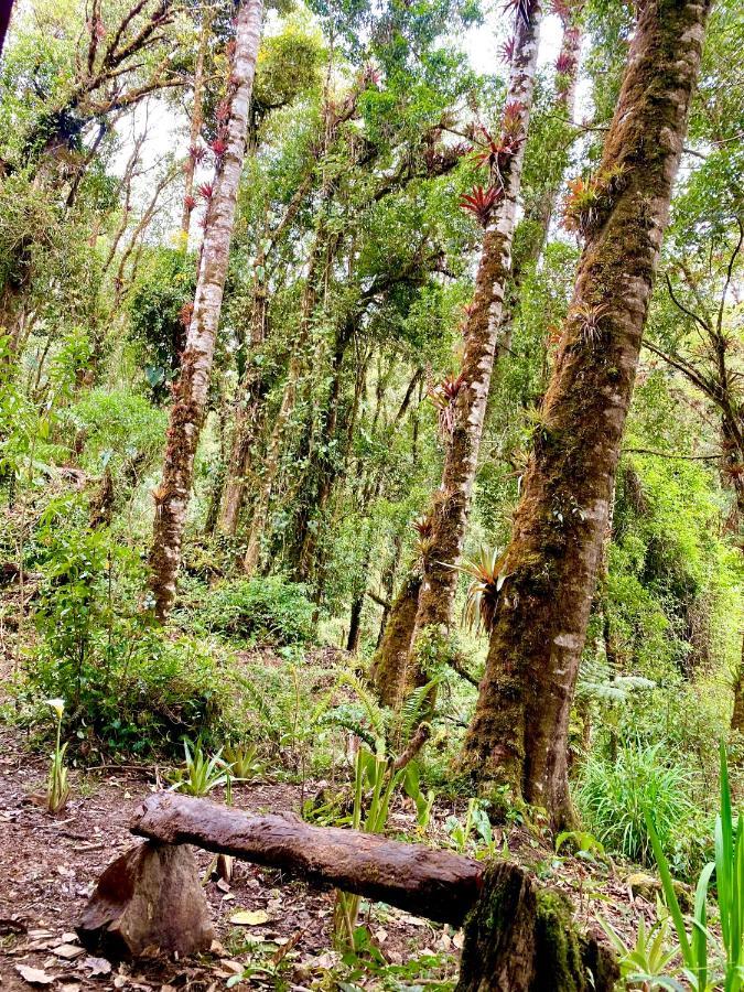 Cabana Anturios San José Esterno foto