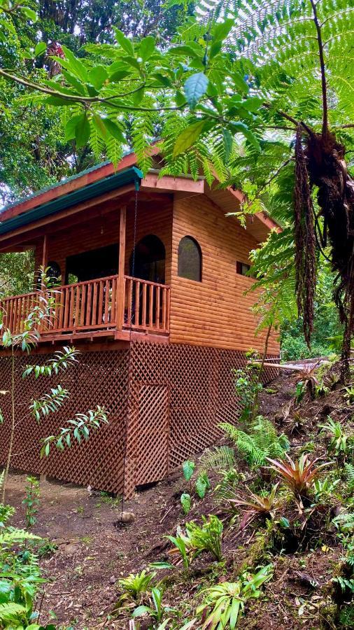 Cabana Anturios San José Esterno foto