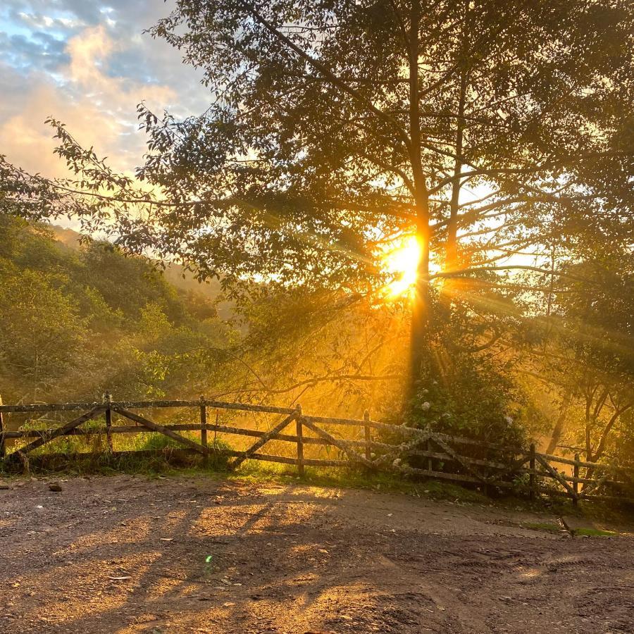 Cabana Anturios San José Esterno foto