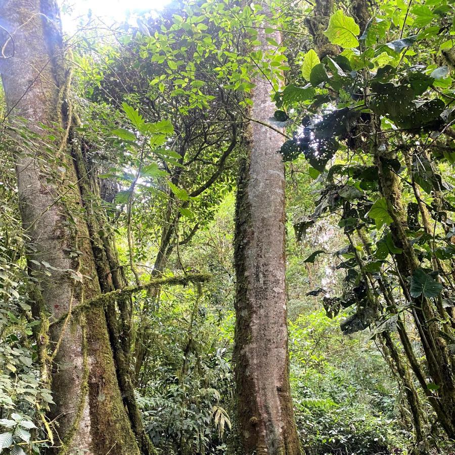 Cabana Anturios San José Esterno foto