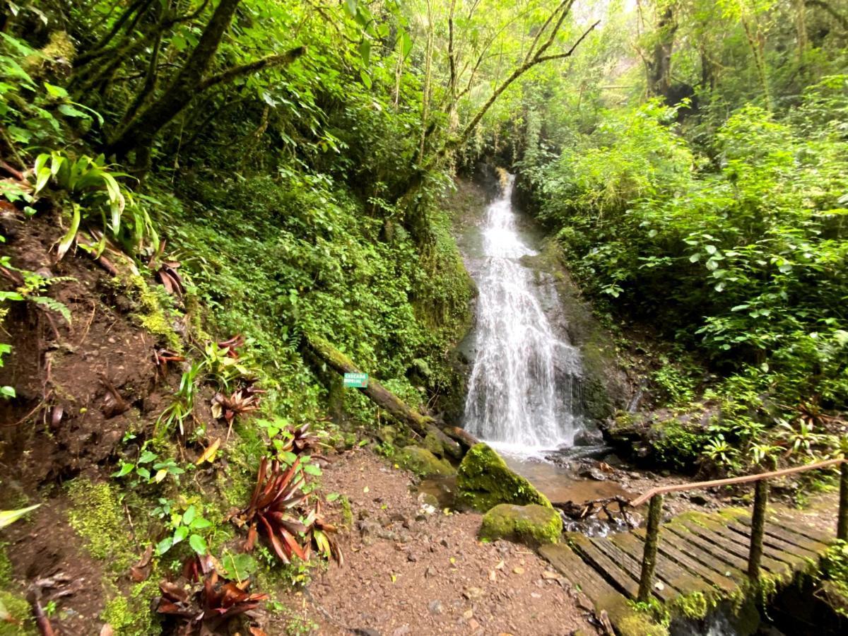 Cabana Anturios San José Esterno foto