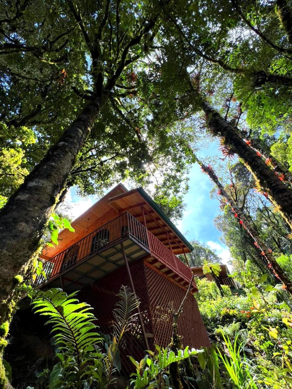 Cabana Anturios San José Esterno foto