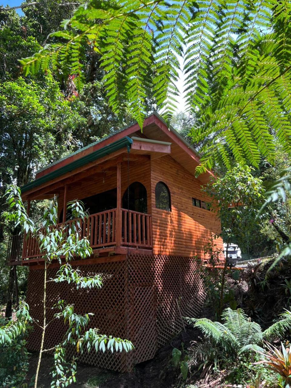 Cabana Anturios San José Esterno foto