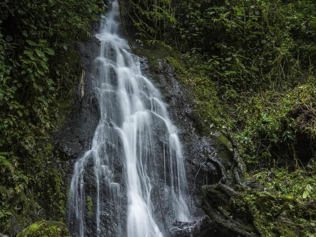 Cabana Anturios San José Esterno foto