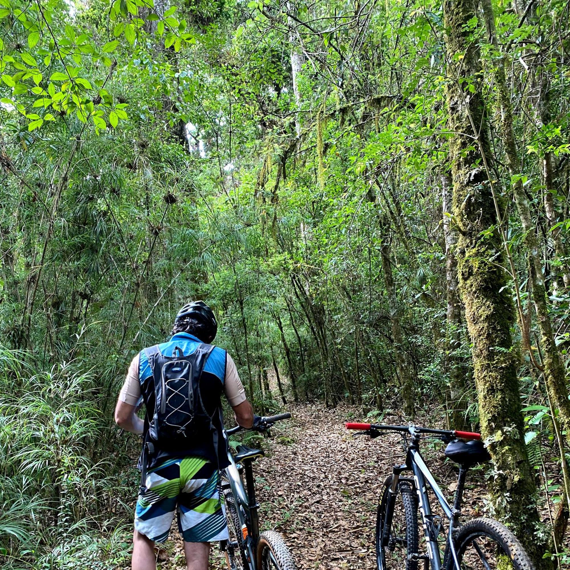 Cabana Anturios San José Esterno foto